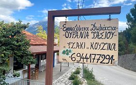 Ουρανία Τασιού